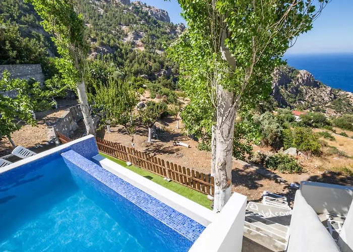 Gospodarstwo wiejskie Mertonas *