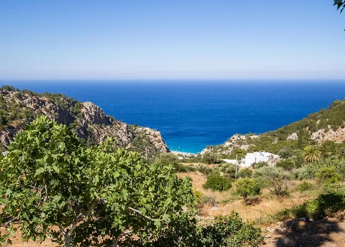 Mertonas Gospodarstwo wiejskie *