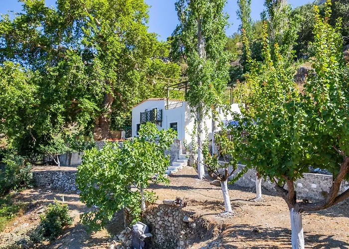 Gospodarstwo wiejskie Mertonas