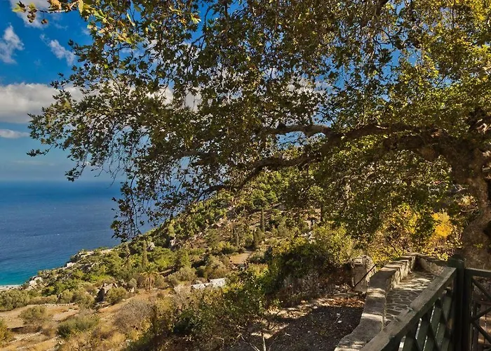 Gospodarstwo wiejskie Mertonas