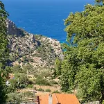 Mertonas