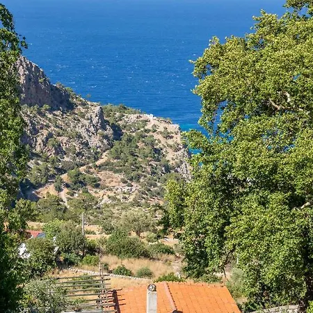 Mertonas